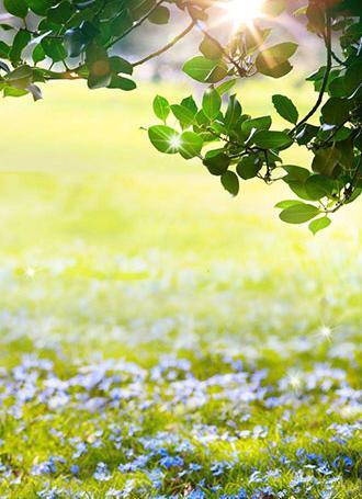 عکس های زیبا و متحرک برای پس زمینه موبایل