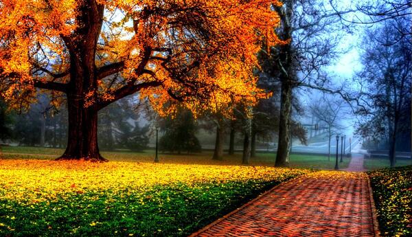 عکس های بسیار زیبا از فصل پاییز