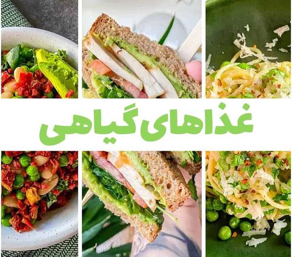 عکس های زیبا از غذا های ایرانی