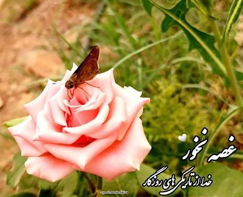 عکس های بسیار زیبا و شیک