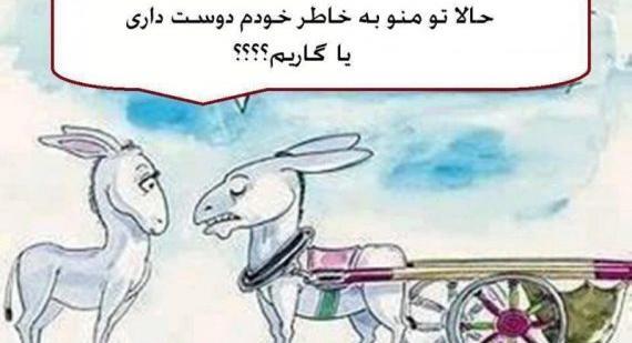 عکس های جدید کارتونی خنده دار