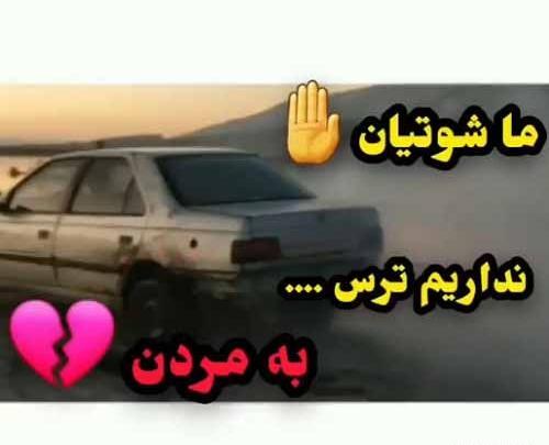 عکس ماشین شوتی با نوشته برای پروفایل