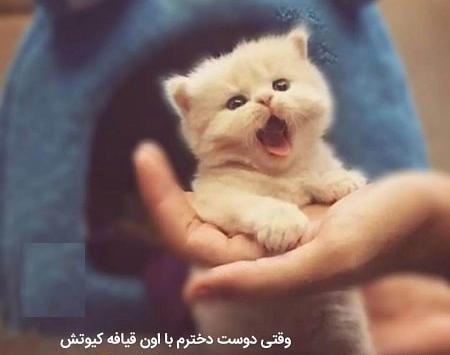 عکس های خنده دار زنان