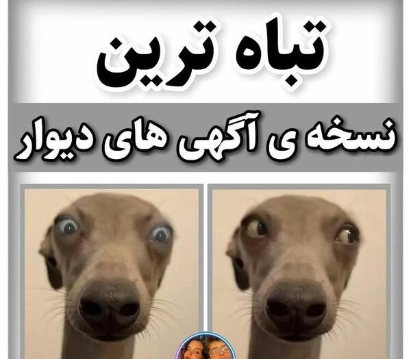 عکس آگهی های خنده دار دیوار