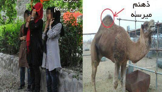 کانال عکس های خنده دار تلگرام