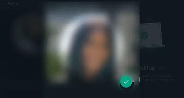 عکس نمایه در واتساپ چیست