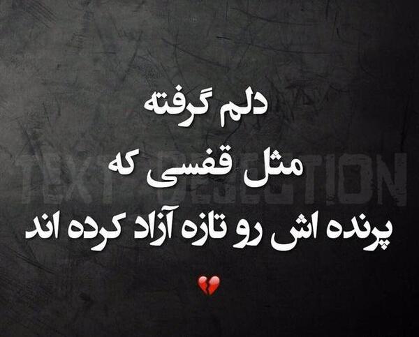 دانلود عکس نمایه واتساپ