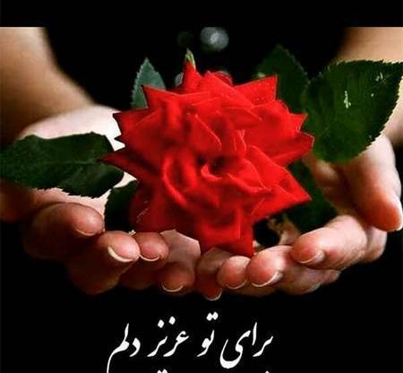 واتساپ عکس دختر با گل برای پروفایل