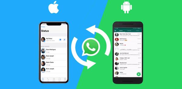 چگونه در واتساپ عکس را به صورت فایل بفرستیم ایفون