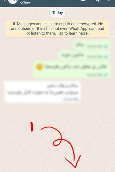 چگونه در واتساپ عکس ها را به صورت فایل بفرستیم