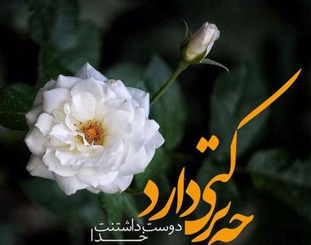 عکس گل برای واتساپ پروفایل