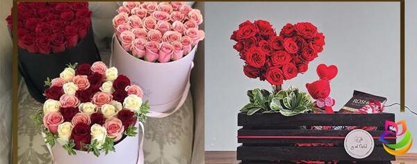 عکس های گل ولنتاین