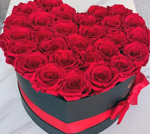 عکس های گل ولنتاین