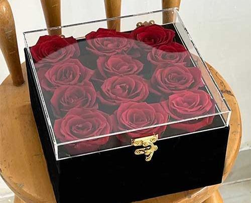 عکس های گل ولنتاین