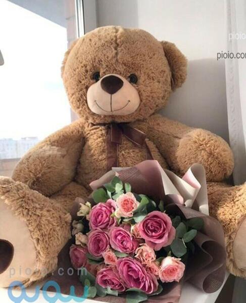 عکس خرس و گل ولنتاین