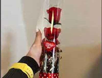 عکس خرس و گل ولنتاین