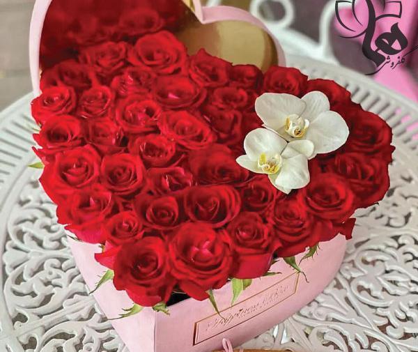 عکس گل رز برای ولنتاین