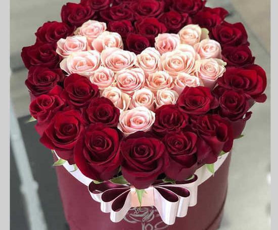 عکس گل رز برای ولنتاین