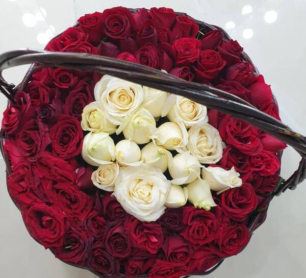 عکس گل رز برای ولنتاین