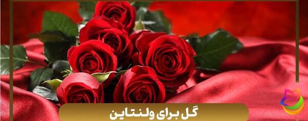 عکس گل رز برای ولنتاین