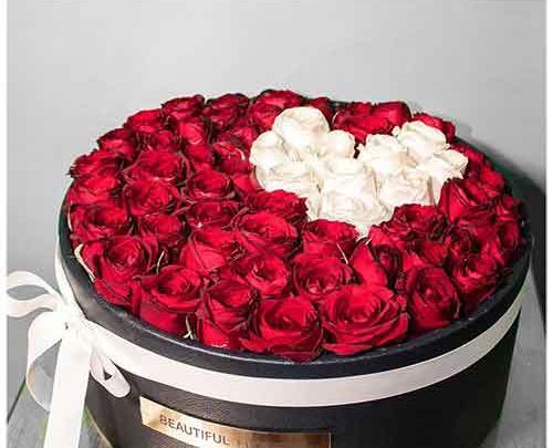 عکس گل رز برای ولنتاین
