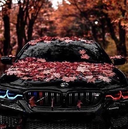 عکس ماشین و موتور خارجی