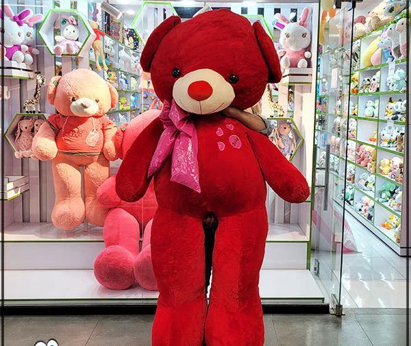 عکس خرس ولنتاین خیلی بزرگ