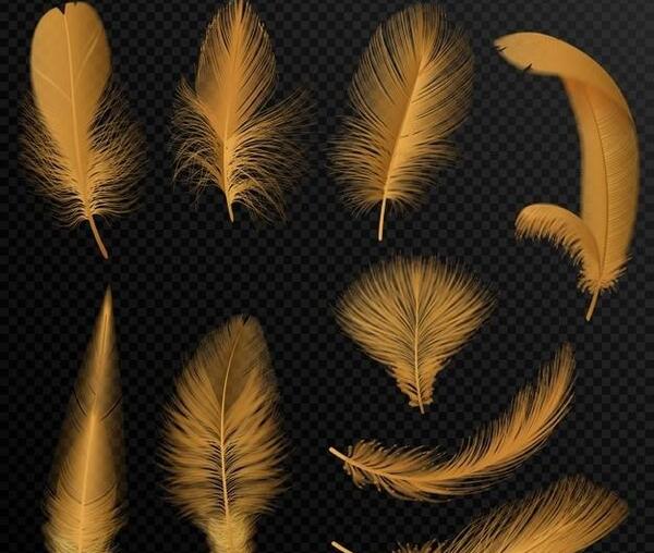 عکس پس زمینه مشکی طلایی