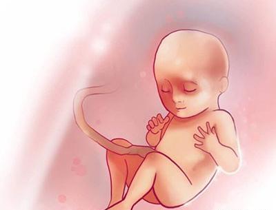 عکس جنین هجده هفته پسر