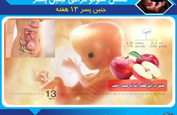 عکس جنین هجده هفته پسر