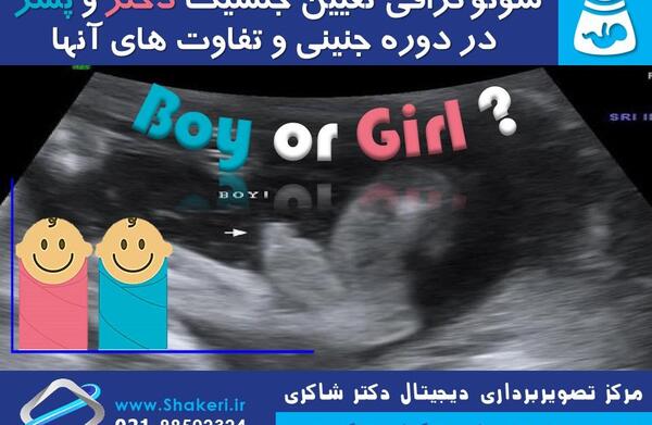 عکس جمجمه جنین پسر نی نی سایت