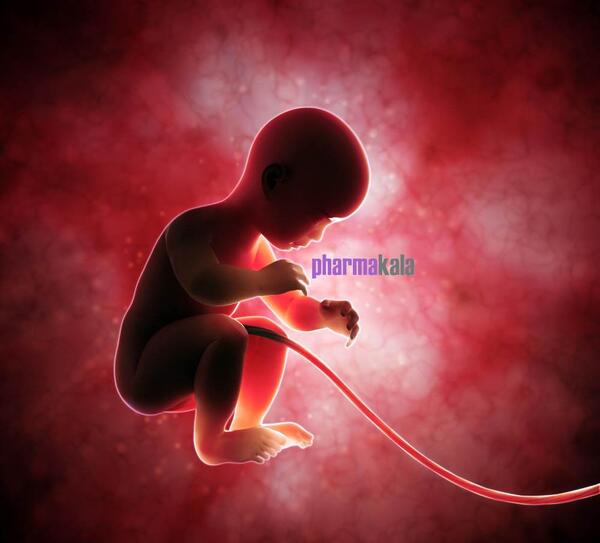 عکس جنین سه ماهه پسر سقط شده