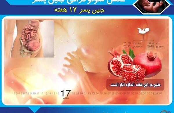 عکس جنین پسر در شانزده هفته