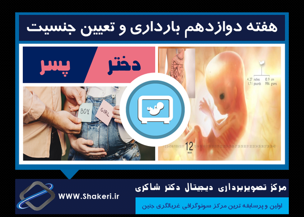 عکس جنین 11 هفته پسر