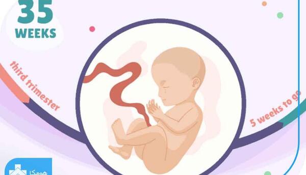 عکس جنین سی و پنج هفته پسر
