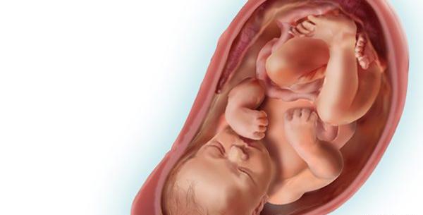 عکس جنین سی و پنج هفته پسر