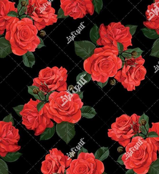 عکس گل با پس زمینه مشکی
