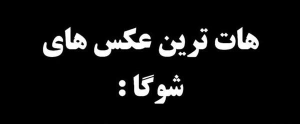 عکس شوگا مشکی
