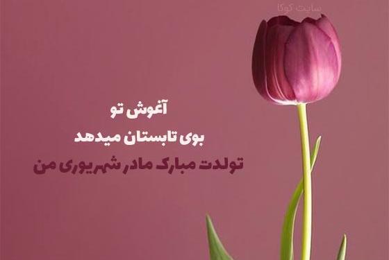 عکس نوشته مادر زن عزیزم تولدت مبارک