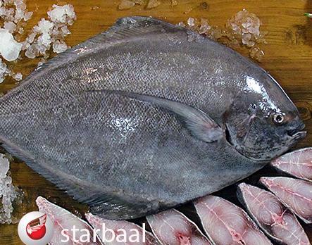 عکس ماهی های مشکی