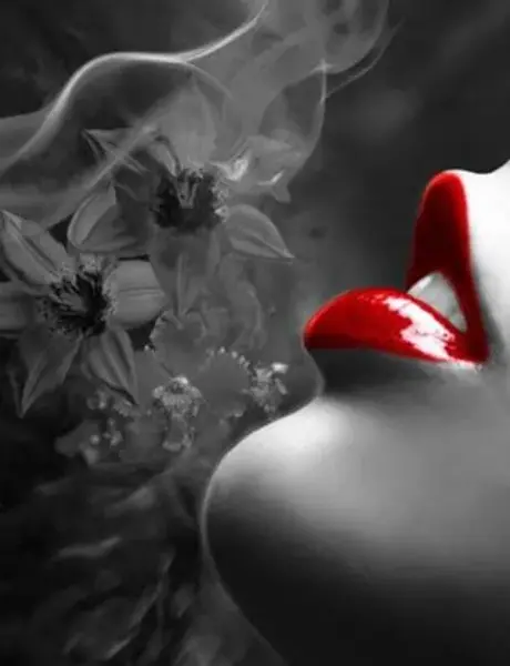 عکس های مشکی و قرمز