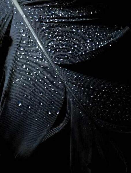 عکس والپیپر مشکی دخترانه