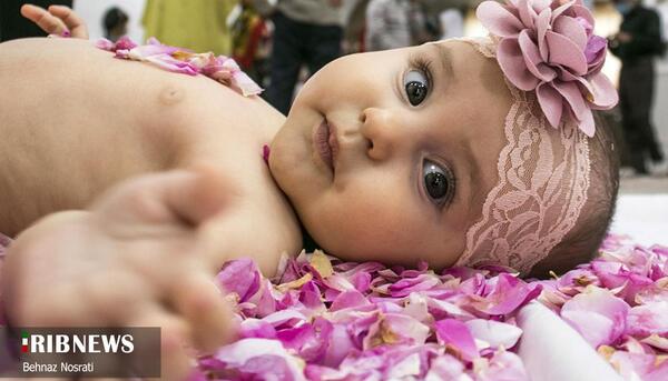 مدل عکس نوزاد با گل محمدی