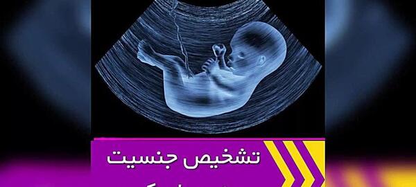 عکس جنین دختر و پسر در هفته ۱۲