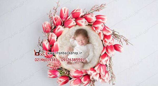 عکس نوزاد با گل رز
