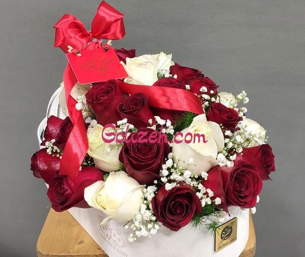 عکس نوزاد با گل سرخ