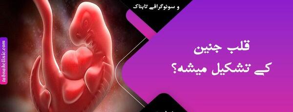 عکس قلب واقعی نوزاد
