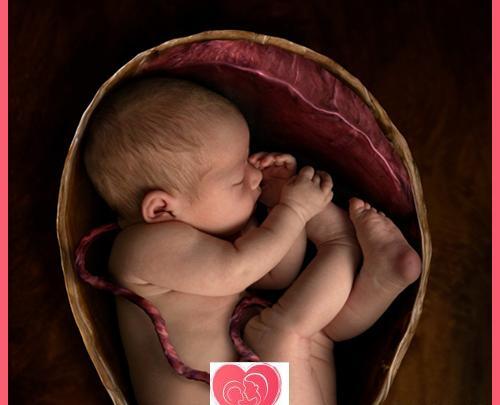 عکس نوزاد متولد شده در هفته 35