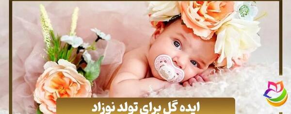 عکس نوزاد تو گل محمدی