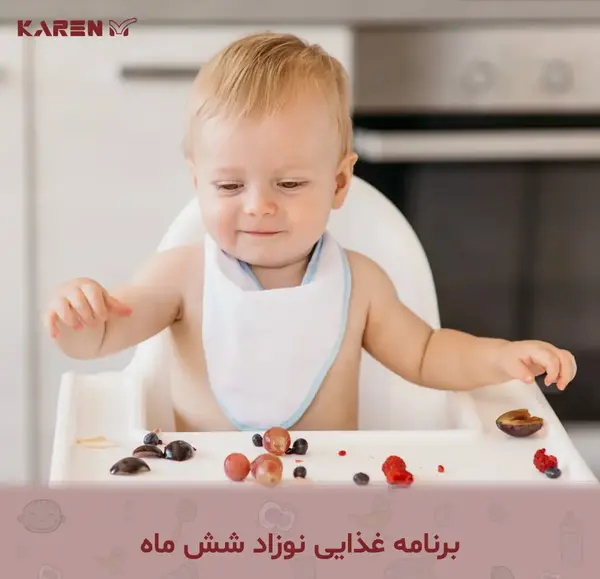 عکس برنامه غذایی نوزاد